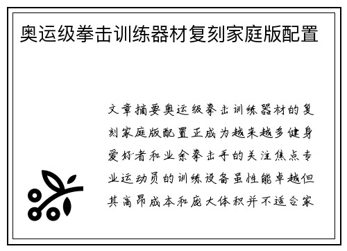 奥运级拳击训练器材复刻家庭版配置