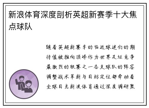 新浪体育深度剖析英超新赛季十大焦点球队