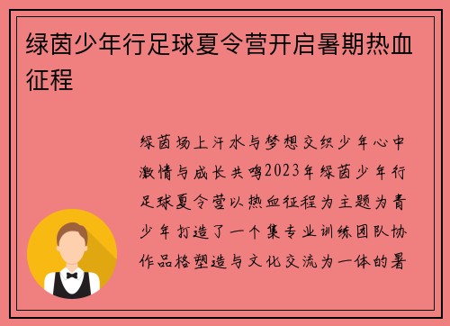 绿茵少年行足球夏令营开启暑期热血征程