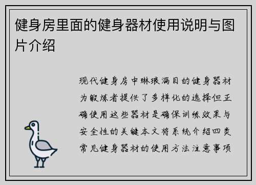健身房里面的健身器材使用说明与图片介绍